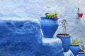 Colorful blue flower pots Royalty Free Stock Photo