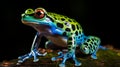 Colorful Blue Frog On Trunk: A Captivating Junglecore Visual