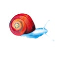 Colorful blue fairytale snail, clam, watercolor illustration for design, children illustration, isolated on white background