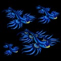 Colorful blue tropical fishes with yellow fins