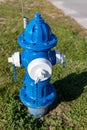 Colorful Blue and white Fire Hydrant used for supplying water