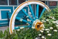 Colorful blue, white and yellow wagon wheel in a garden of daisies