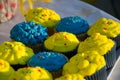 Colorful blue and yellow homemade cupcakes with sprinkles, minion concept party, desserts in blue and yellow color on a table