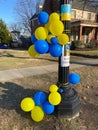 Colorful Blue and Yellow Ukrainian Protest Balloons Near the Bus Stop