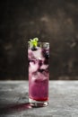 Colorful blueberry cocktail Royalty Free Stock Photo