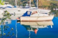 Colorful blured yacht background green plant