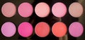 Colorful blush set. Professional cosmetics.