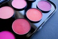 Colorful blush set. Professional cosmetics.