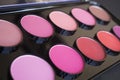 Colorful blush set. Professional cosmetics.