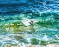 Colorful Body Surfer Waves Makapuu Beach Honolulu Oahu Hawaii