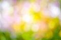 Colorful Bokeh,flower bokeh ,abstract background,Orchid Bokeh,Bokeh background, Elemnt of design,defocused. Royalty Free Stock Photo