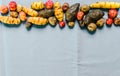 Colorful Bolivian and Peruvian potatoes and tubers against colored background Royalty Free Stock Photo