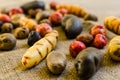 Colorful Bolivian and Peruvian potatoes and tubers on rustic brown background Royalty Free Stock Photo