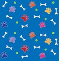 Colorful Bones and Paws Pattern