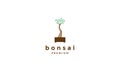 Colorful bonsai plant logo symbol vector icon illustration graphic design