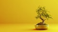Colorful Bonsai Plant In Minimalist Style: Uhd 3d Rendering