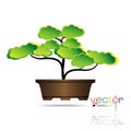 Colorful of Bonsai tree, silhouette of bonsai, Detailed image, Vector illustration. Royalty Free Stock Photo