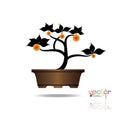 Colorful of Bonsai tree, silhouette of bonsai, Detailed image, Vector illustration. Royalty Free Stock Photo