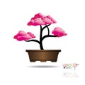 Colorful of Bonsai tree, silhouette of bonsai, Detailed image, Vector illustration.