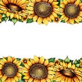 colorful border design with detailed sunflower,leaves and buds ai generated