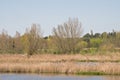 Colorful borders of river Scheldt in the flemish countryside