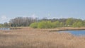 Colorful borders of river Scheldt in the flemish countryside