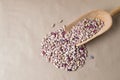 Colorful Borlotti beans in wooden spoon Royalty Free Stock Photo