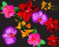 Colorful Botanical Foliage. Red Orchid Plant. Pink Hibiscus Foliage. Yellow Flower Backdrop. Purple Watercolor Design. Green Seaml Royalty Free Stock Photo