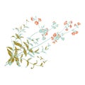 Colorful botanical hand drawn branches with flowers , he
