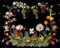 Colorful botanical wreath with flowers and berries on a black background.Generative AI Royalty Free Stock Photo