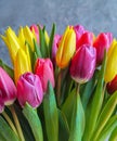 Colorful bouquet of beautiful tulips. Full frame background. Greeting card with copy space for your advertising text message for