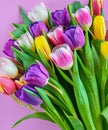 Colorful bouquet of beautiful tulips. Full frame background. Greeting card with copy space for your advertising text message for