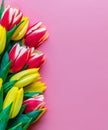 Colorful bouquet of beautiful tulips. Full frame background. Greeting card with copy space for your advertising text message for