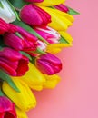 Colorful bouquet of beautiful tulips. Full frame background. Greeting card with copy space for your advertising text message for