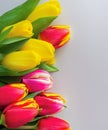 Colorful bouquet of beautiful tulips. Full frame background. Greeting card with copy space for your advertising text message for