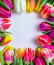 Colorful bouquet of beautiful tulips. Full frame background. Greeting card with copy space for your advertising text message for