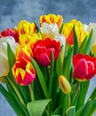 Colorful bouquet of beautiful tulips. Spring flowers. Full frame background Royalty Free Stock Photo