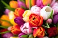 Colorful bouquet of beautiful tulips. Spring flowers. Full frame background. Royalty Free Stock Photo
