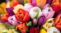 Colorful bouquet of beautiful tulips. Spring flowers. Full frame background. Royalty Free Stock Photo