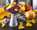 A colorful bouquet of chrysanthemum flowers in a vintage vase, pumpkins, yellow autumn leaves, a woolen scarf.