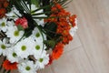 Colorful bouquet from Chrysanthemum gerbera Flowers isolated over wooden background. Closeup. Royalty Free Stock Photo