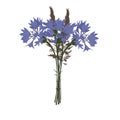 A colorful bouquet of cornflowers and bluegrass.