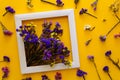 Colorful bouquet of dried autumn flowers lying on a white frame on yellow paper background. Copy space. Flat lay. Royalty Free Stock Photo