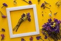 Colorful bouquet of dried autumn flowers lying on a white frame on yellow paper background. Copy space. Flat lay. Top view.