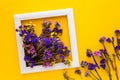 Colorful bouquet of dried autumn flowers lying on a white frame on yellow paper background. Copy space. Flat lay. Top view. Royalty Free Stock Photo