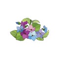 Colorful bouquet of forest violets. Vector pictures for t-shirt design