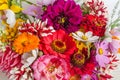 Colorful bouquet of garden flowers close-up on a white background Royalty Free Stock Photo