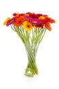 Colorful bouquet of Gerber flowers Royalty Free Stock Photo