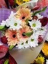 Flower Garden Series: Gerbera Daisy Bouquet