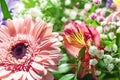 colorful bouquet of mixed flowers pink white blue purple Royalty Free Stock Photo